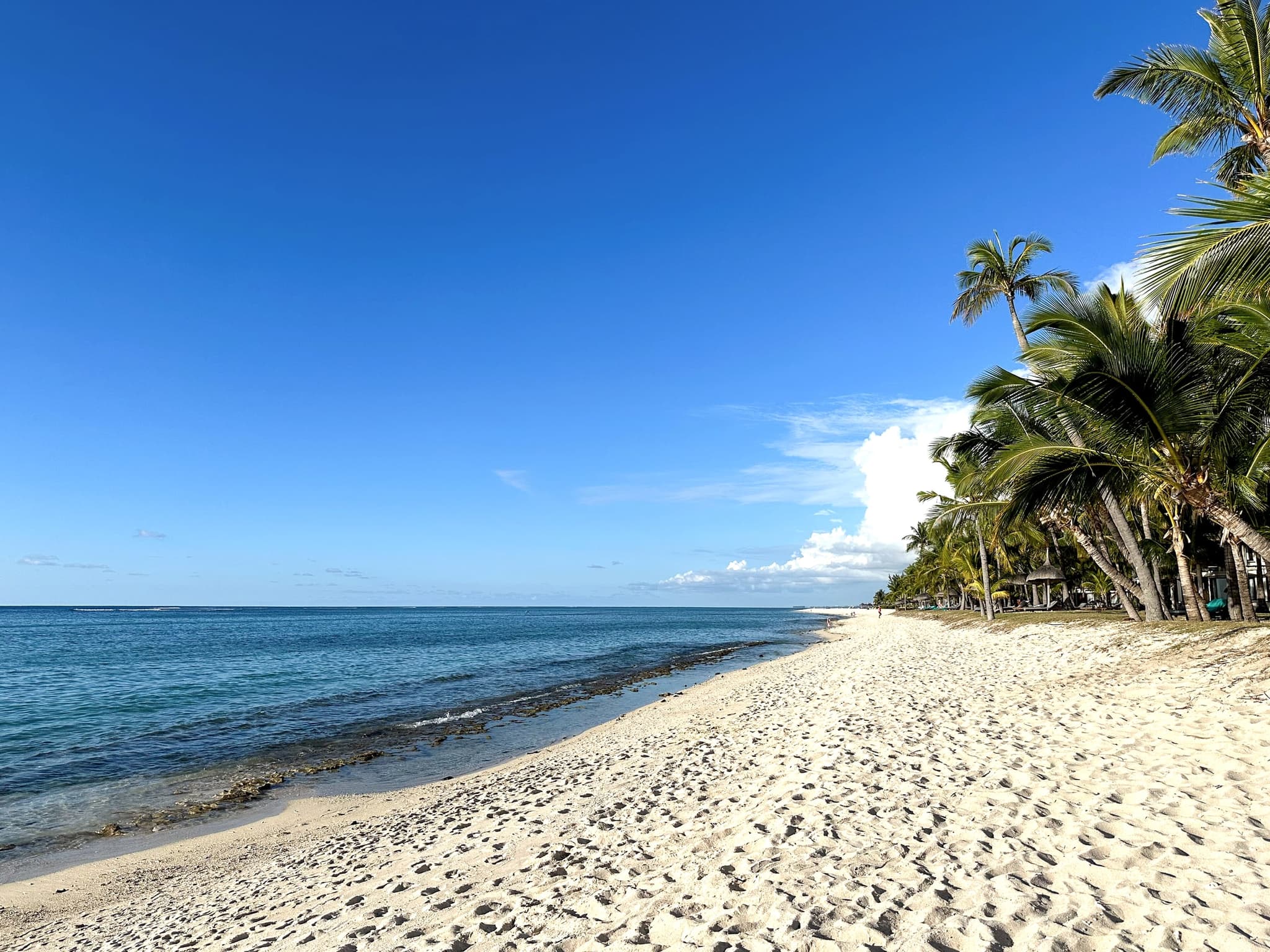 The coast of Mauritius in the Indian Ocean